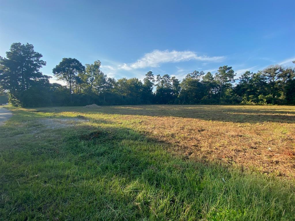 000 Tamina Road, Magnolia, Texas 77354, ,Lots,For Sale,Tamina,89681208