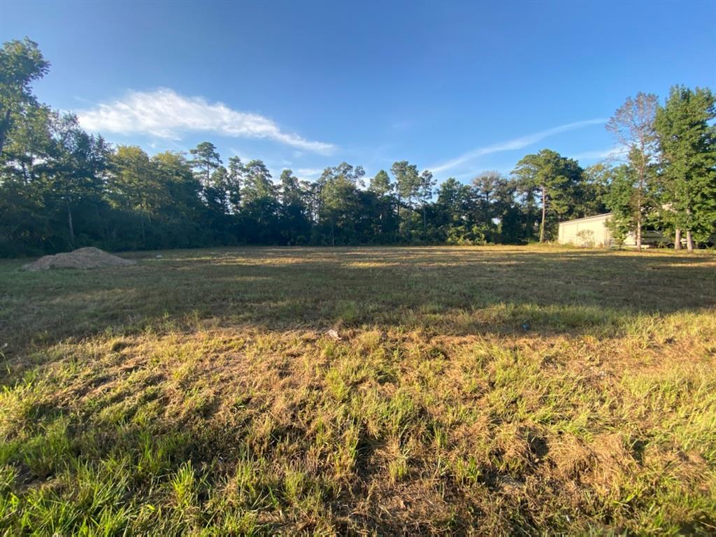 000 Tamina Road, Magnolia, Texas 77354, ,Lots,For Sale,Tamina,89681208