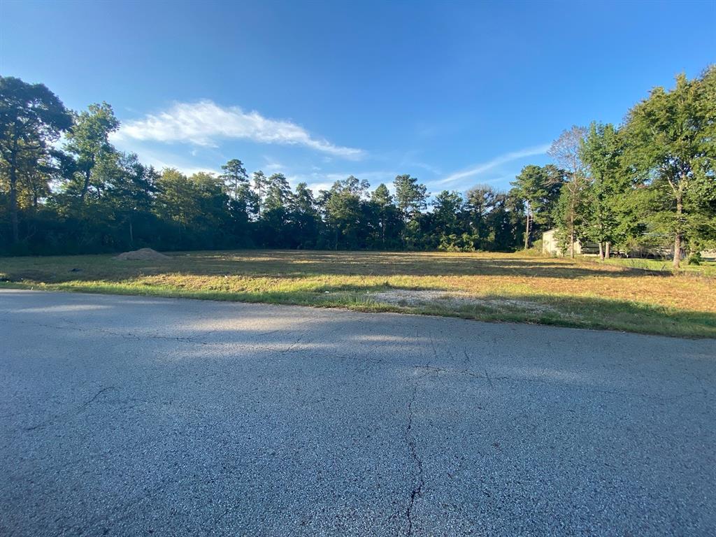 000 Tamina Road, Magnolia, Texas 77354, ,Lots,For Sale,Tamina,89681208
