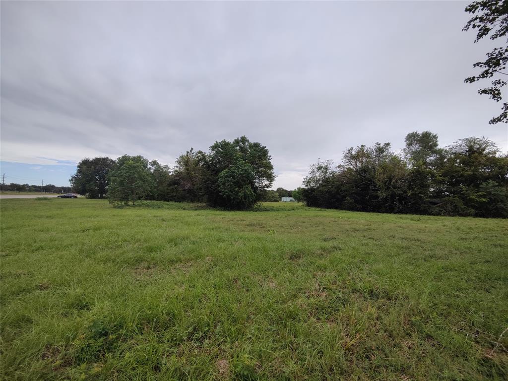 2809 Hartledge Road, Rosenberg, Texas 77471, ,Lots,For Sale,Hartledge,22965995