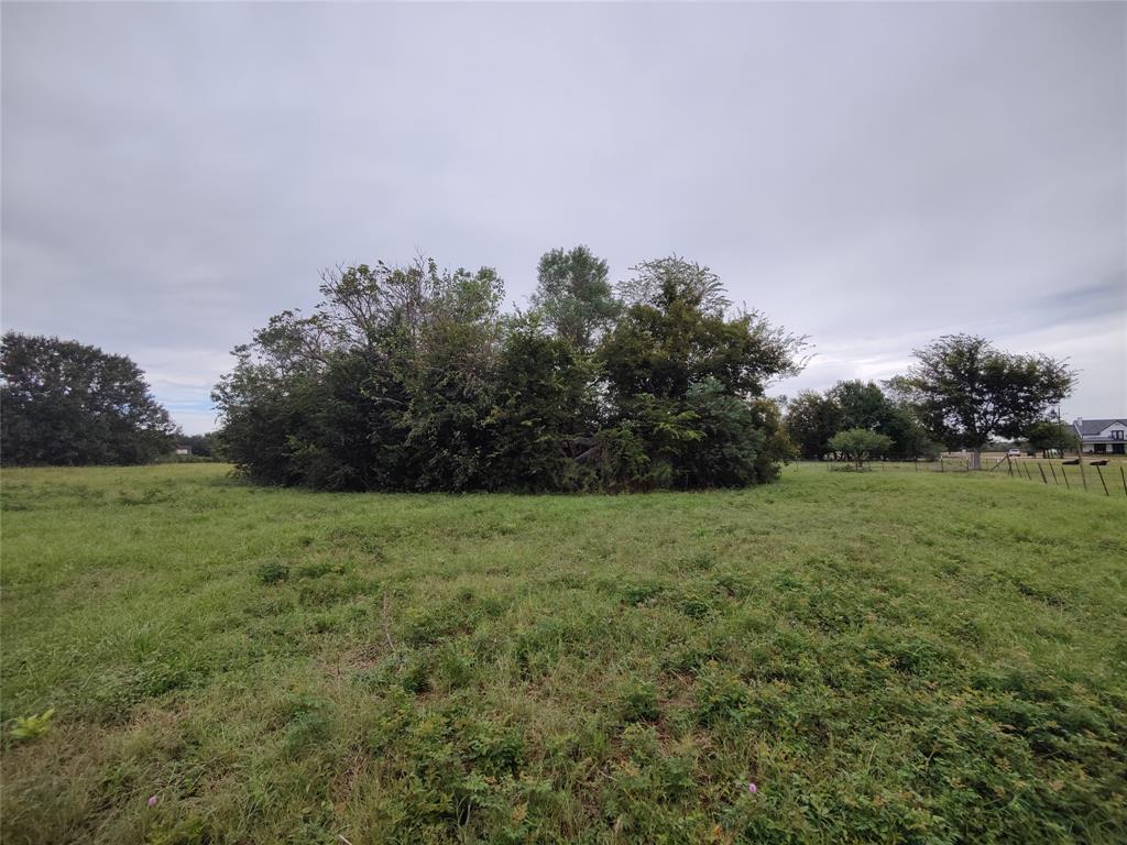 2809 Hartledge Road, Rosenberg, Texas 77471, ,Lots,For Sale,Hartledge,22965995