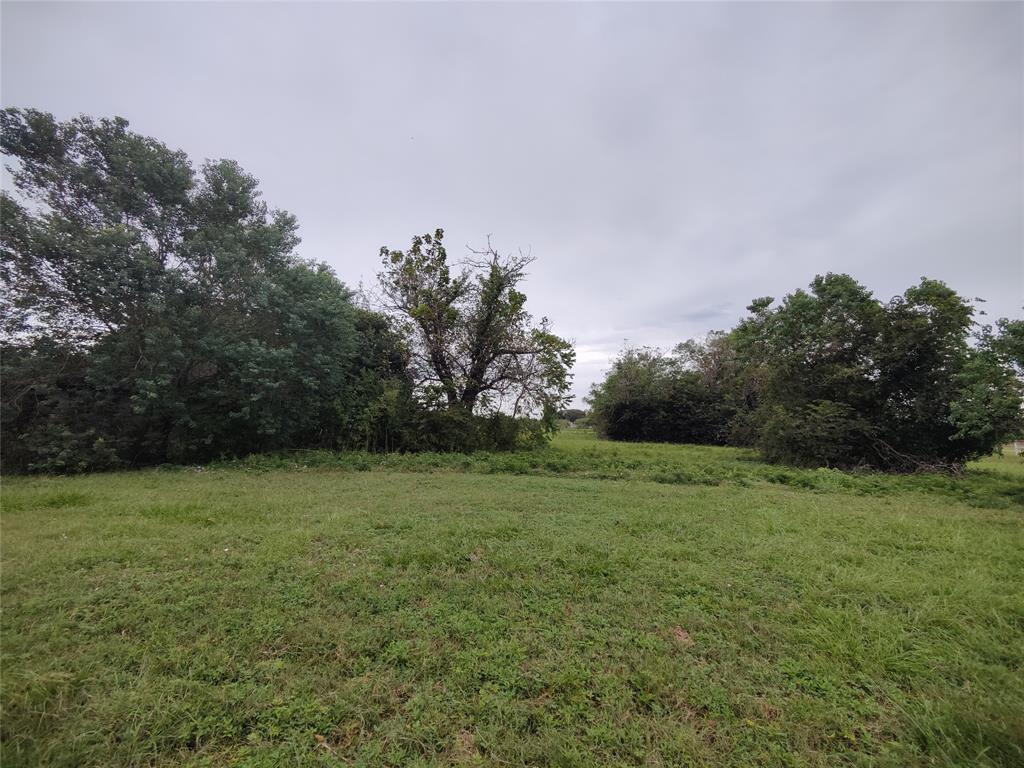 2809 Hartledge Road, Rosenberg, Texas 77471, ,Lots,For Sale,Hartledge,22965995