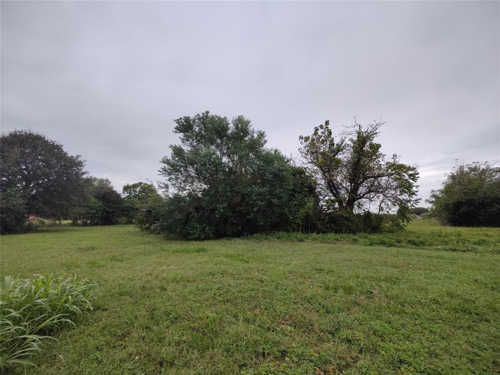 2809 Hartledge Road, Rosenberg, Texas 77471, ,Lots,For Sale,Hartledge,22965995