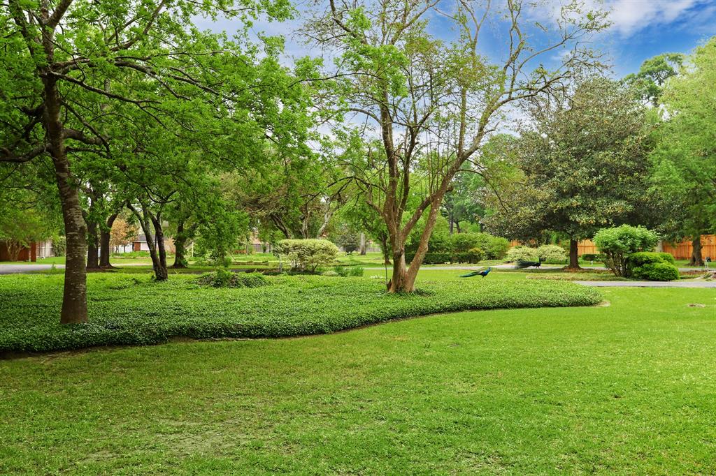 10 Rivercrest Drive, Houston, Texas 77042, ,Lots,For Sale,Rivercrest,80445277
