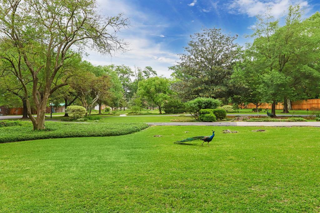 10 Rivercrest Drive, Houston, Texas 77042, ,Lots,For Sale,Rivercrest,80445277