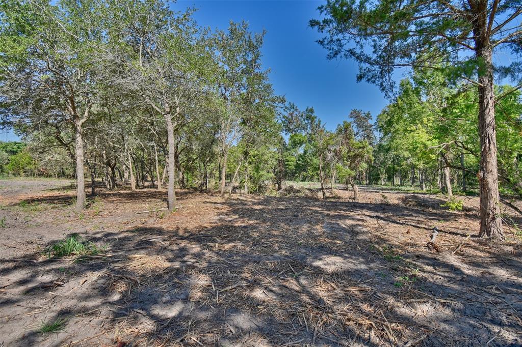 000 Schwartz and Lone Star Road, Washington, Texas 77880, ,Country Homes/acreage,For Sale,Schwartz and Lone Star,38812680