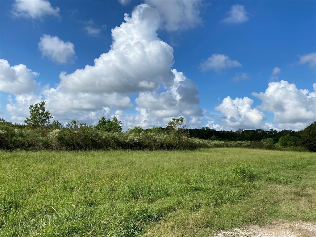 tbd County Road 81, Rosharon, Texas 77583, ,Lots,For Sale,County Road 81,62468751