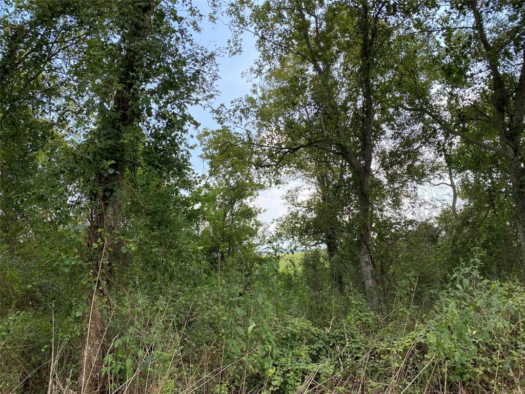 tbd County Road 81, Rosharon, Texas 77583, ,Lots,For Sale,County Road 81,62468751