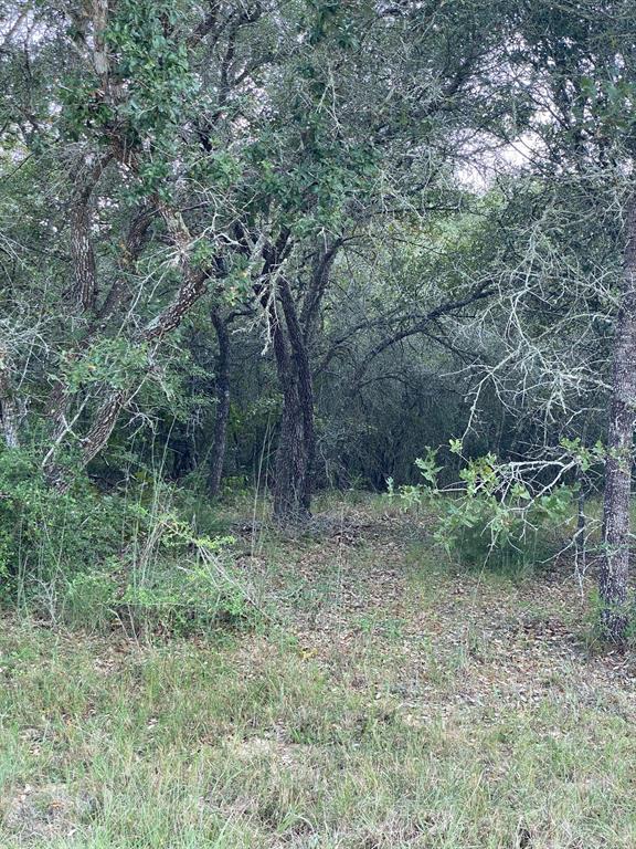 000 Reeves Road Garwood, Texas Blank slate, Unrestricted corner acreage, Wooded, Deer and Hog Galore. No fencing, Wet weather creek, Electric available. Clear some Senderos, Set up Feeders, Create your own Private Paradise. Bring your Travel trailer or Camper. Build a Cabin or Home. Weekend escape or Full time residence - Endless Possibilities. Call to view.