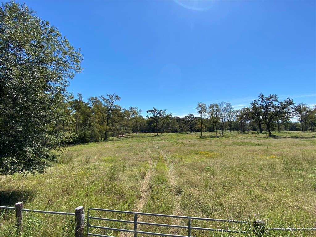 TBD  92 Acres Hwy 90  Madisonville Texas 77864, 52