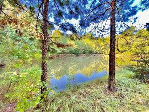 TBD County Road 2077, Woodville, TX, 75979
