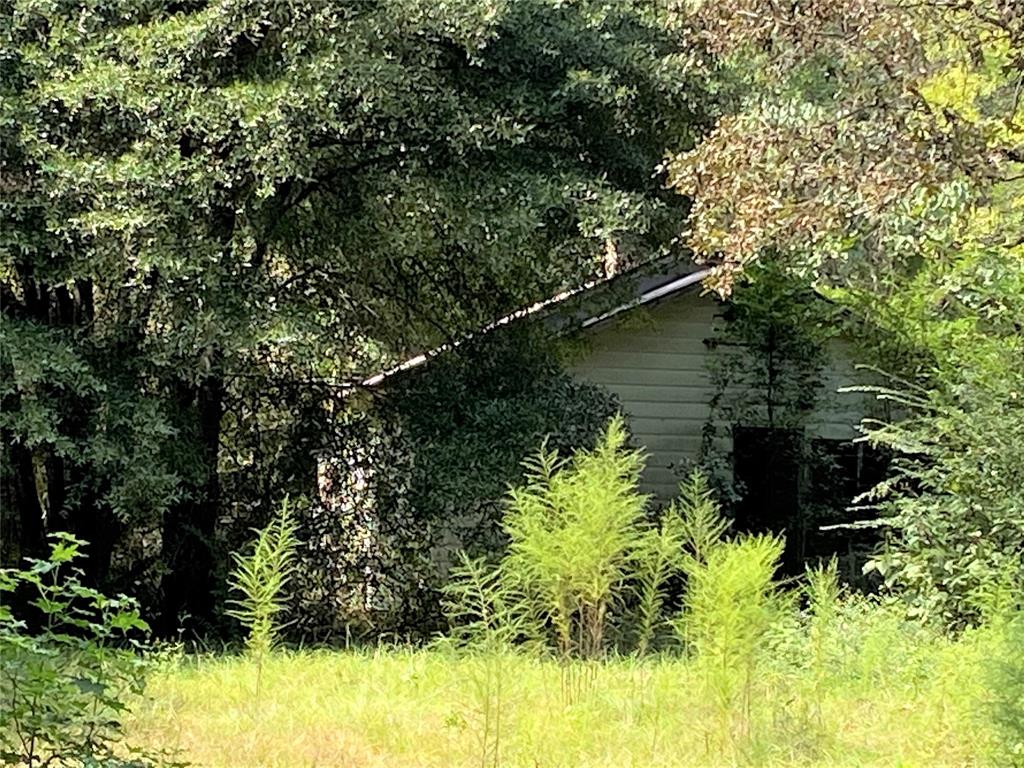 1325 County Road 2650