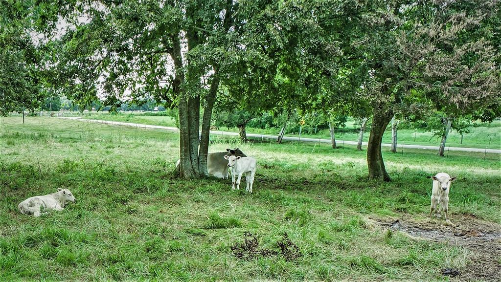 5047 1 Nails Road, Simonton, Texas 77476, 2 Bedrooms Bedrooms, 6 Rooms Rooms,2 BathroomsBathrooms,Country Homes/acreage,For Sale,Nails,19185709