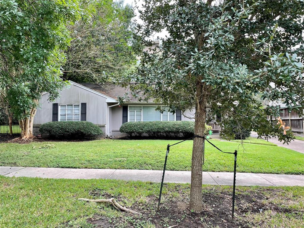 3815 1 Drake Street, Houston, Texas 77005, 3 Bedrooms Bedrooms, 3 Rooms Rooms,2 BathroomsBathrooms,Single-family,For Sale,Drake,39632763