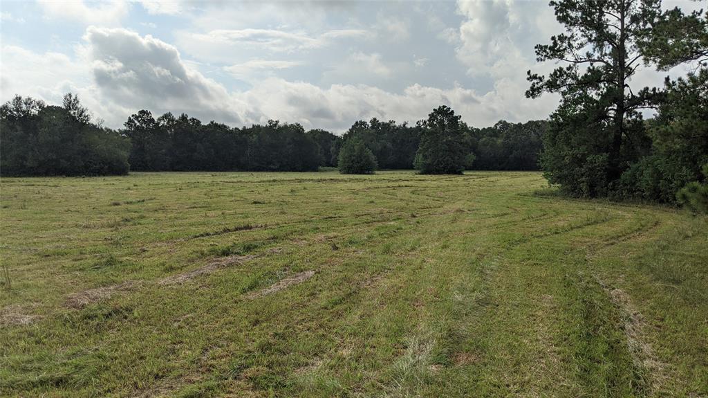 TBD County Road 6027, Dayton, Texas 77535, ,Country Homes/acreage,For Sale,County Road 6027,41925805