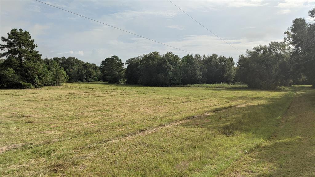 TBD County Road 6027, Dayton, Texas 77535, ,Country Homes/acreage,For Sale,County Road 6027,41925805