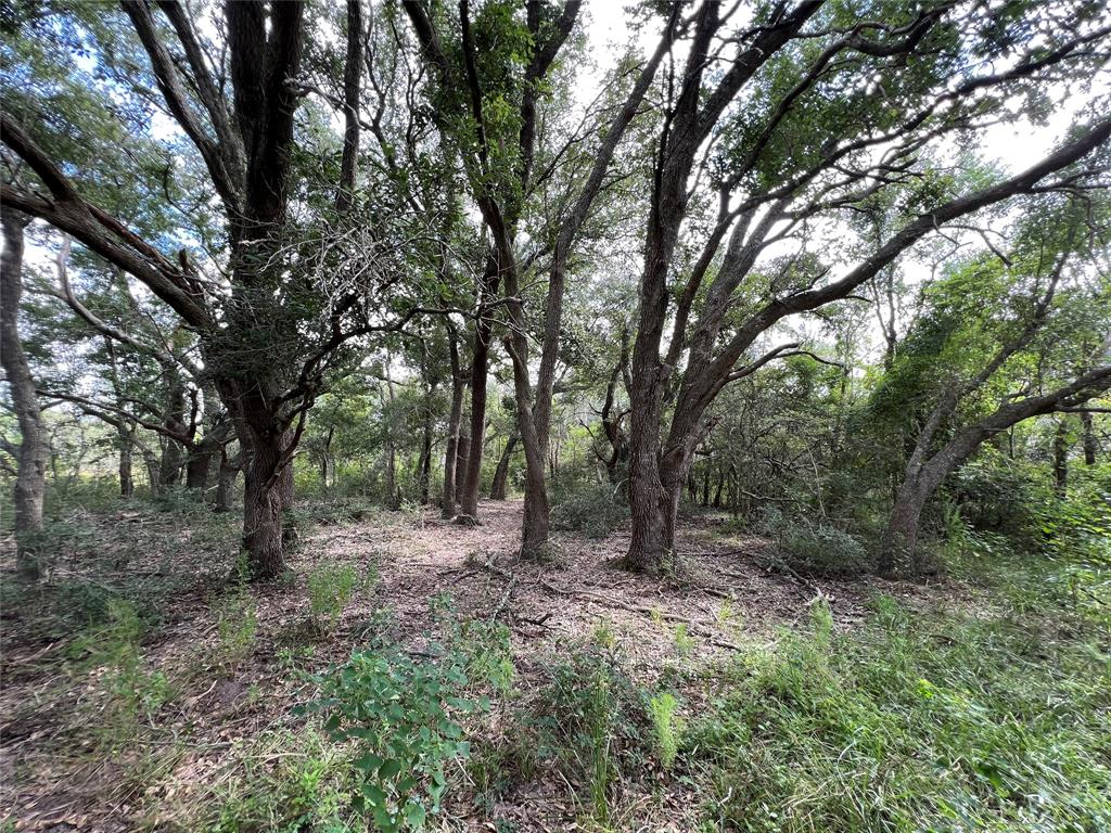 287 acre tract on Double Bayou with direct access to Trinity Bay!! This land has TONS of potential. Perfect for cattle ranch, horse farm, hunting, or just build your dream weekend getaway surrounded by nature and privacy, but still well within driving distance to Houston.
