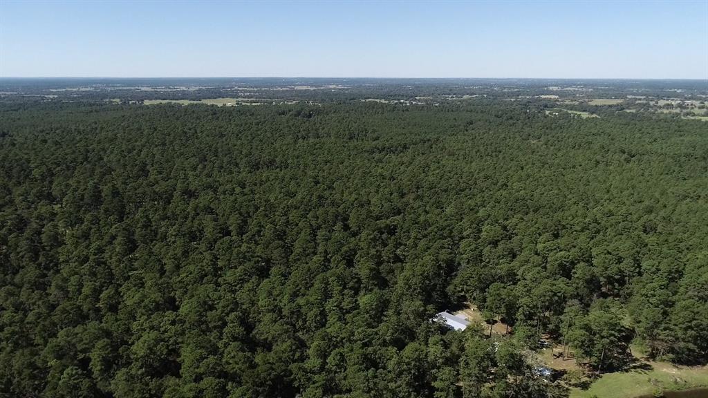 0 1 NF 209, Richards, Texas 77873, ,1 BathroomBathrooms,Country Homes/acreage,For Sale,NF 209,82460596