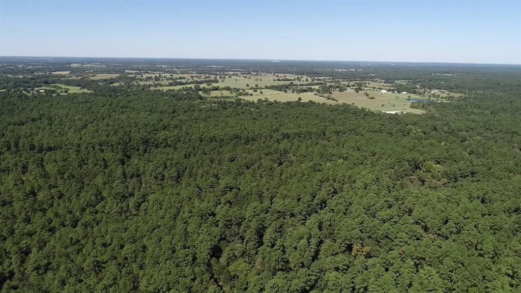 0 1 NF 209, Richards, Texas 77873, ,1 BathroomBathrooms,Country Homes/acreage,For Sale,NF 209,82460596
