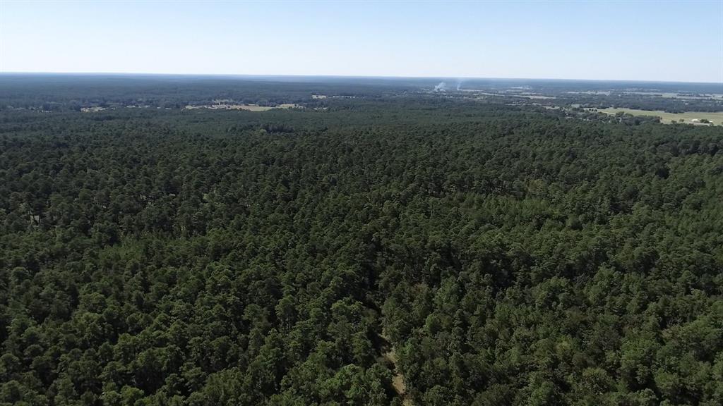 0 1 NF 209, Richards, Texas 77873, ,1 BathroomBathrooms,Country Homes/acreage,For Sale,NF 209,82460596