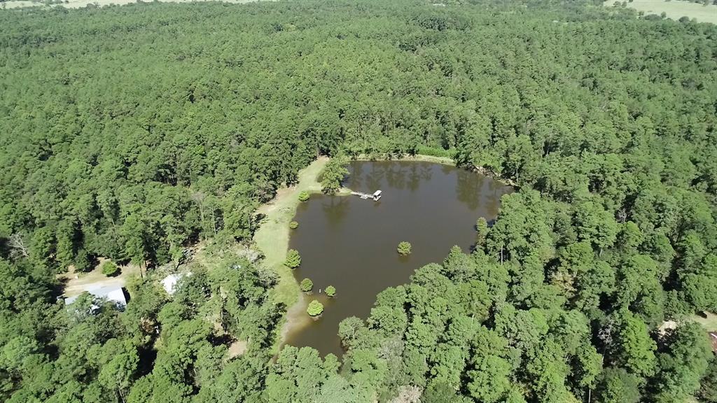 0 1 NF 209, Richards, Texas 77873, ,1 BathroomBathrooms,Country Homes/acreage,For Sale,NF 209,82460596