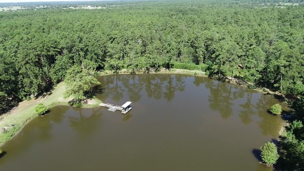 0 1 NF 209, Richards, Texas 77873, ,1 BathroomBathrooms,Country Homes/acreage,For Sale,NF 209,82460596