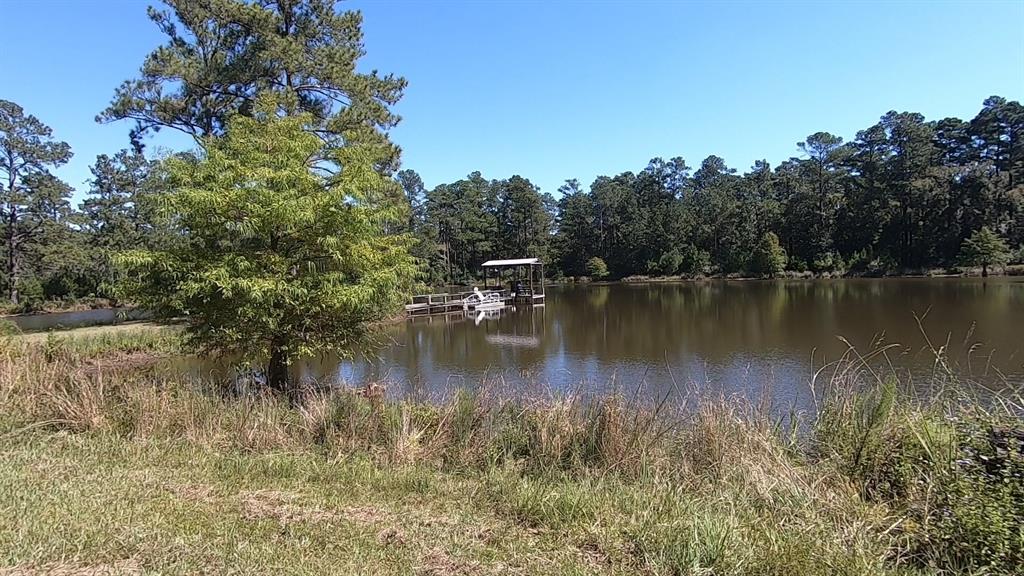 0 1 NF 209, Richards, Texas 77873, ,1 BathroomBathrooms,Country Homes/acreage,For Sale,NF 209,82460596