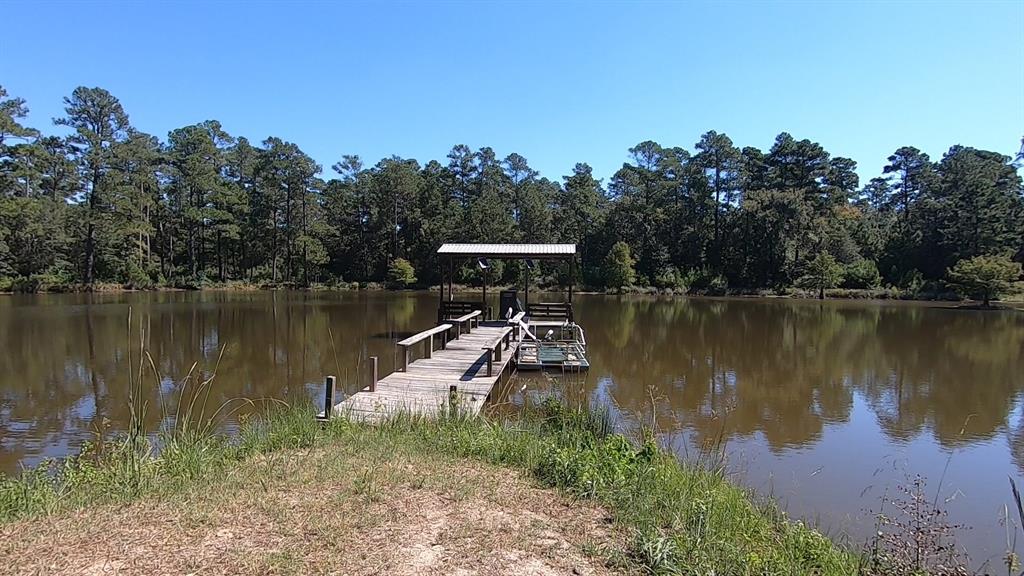 0 1 NF 209, Richards, Texas 77873, ,1 BathroomBathrooms,Country Homes/acreage,For Sale,NF 209,82460596