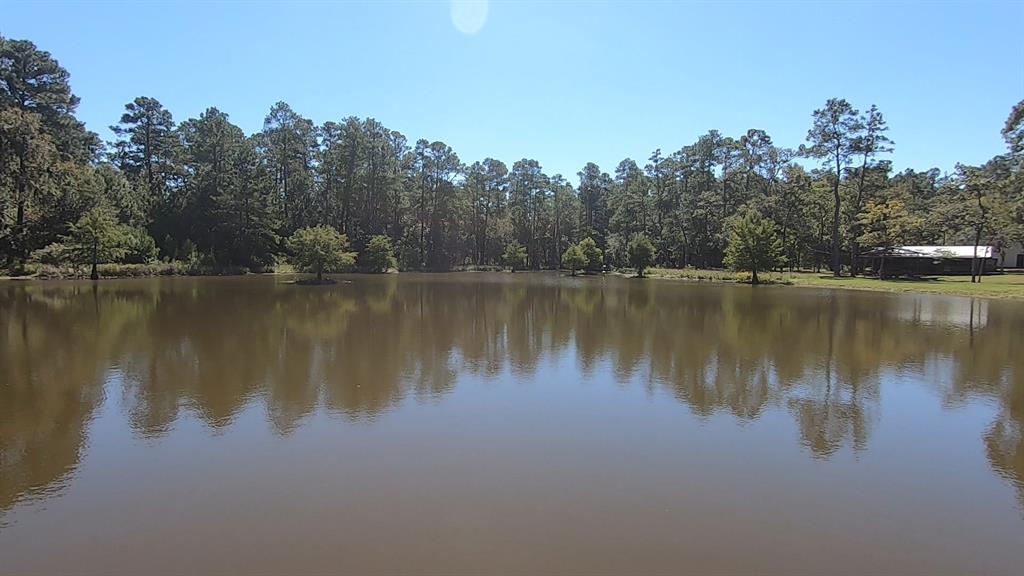 0 1 NF 209, Richards, Texas 77873, ,1 BathroomBathrooms,Country Homes/acreage,For Sale,NF 209,82460596