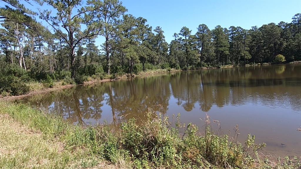 0 1 NF 209, Richards, Texas 77873, ,1 BathroomBathrooms,Country Homes/acreage,For Sale,NF 209,82460596