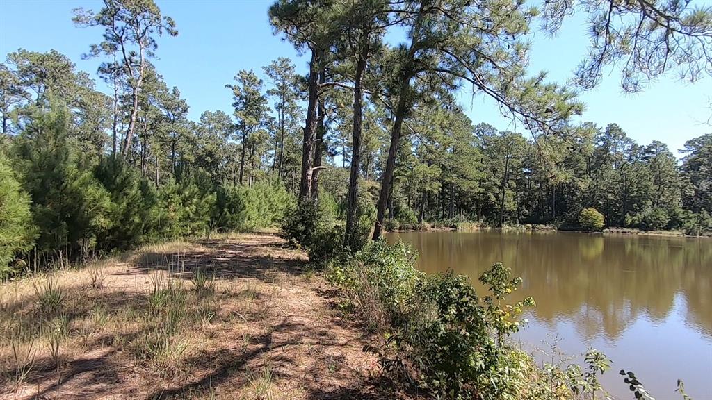 0 1 NF 209, Richards, Texas 77873, ,1 BathroomBathrooms,Country Homes/acreage,For Sale,NF 209,82460596
