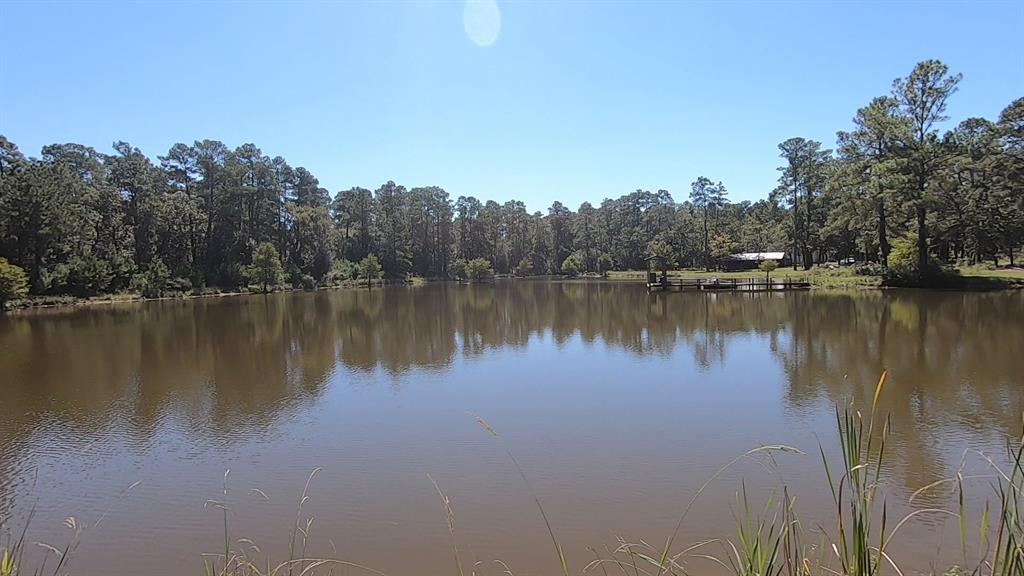 0 1 NF 209, Richards, Texas 77873, ,1 BathroomBathrooms,Country Homes/acreage,For Sale,NF 209,82460596