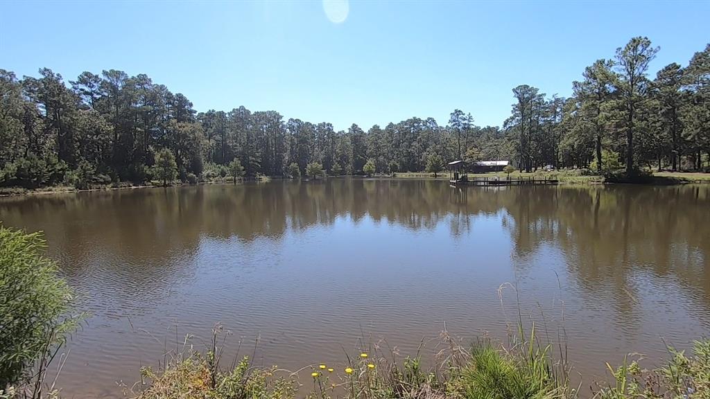 0 1 NF 209, Richards, Texas 77873, ,1 BathroomBathrooms,Country Homes/acreage,For Sale,NF 209,82460596