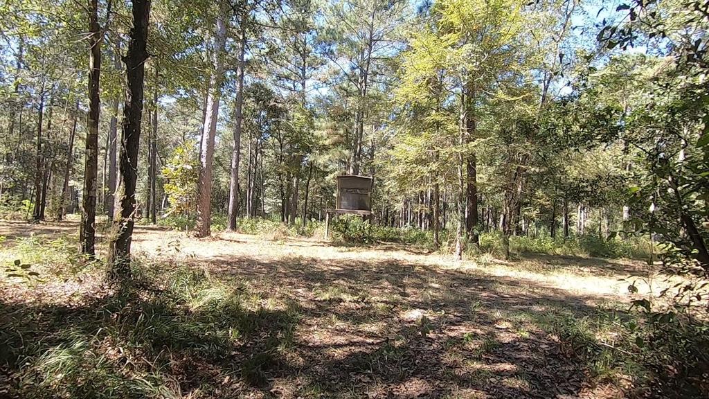 0 1 NF 209, Richards, Texas 77873, ,1 BathroomBathrooms,Country Homes/acreage,For Sale,NF 209,82460596