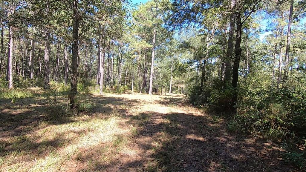 0 1 NF 209, Richards, Texas 77873, ,1 BathroomBathrooms,Country Homes/acreage,For Sale,NF 209,82460596
