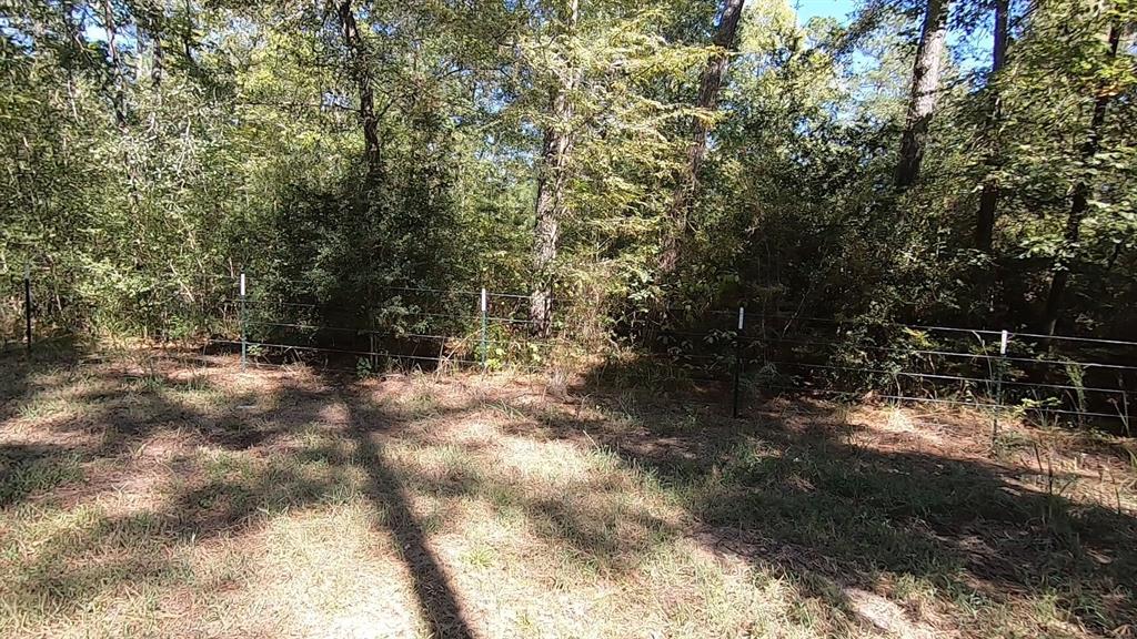 0 1 NF 209, Richards, Texas 77873, ,1 BathroomBathrooms,Country Homes/acreage,For Sale,NF 209,82460596