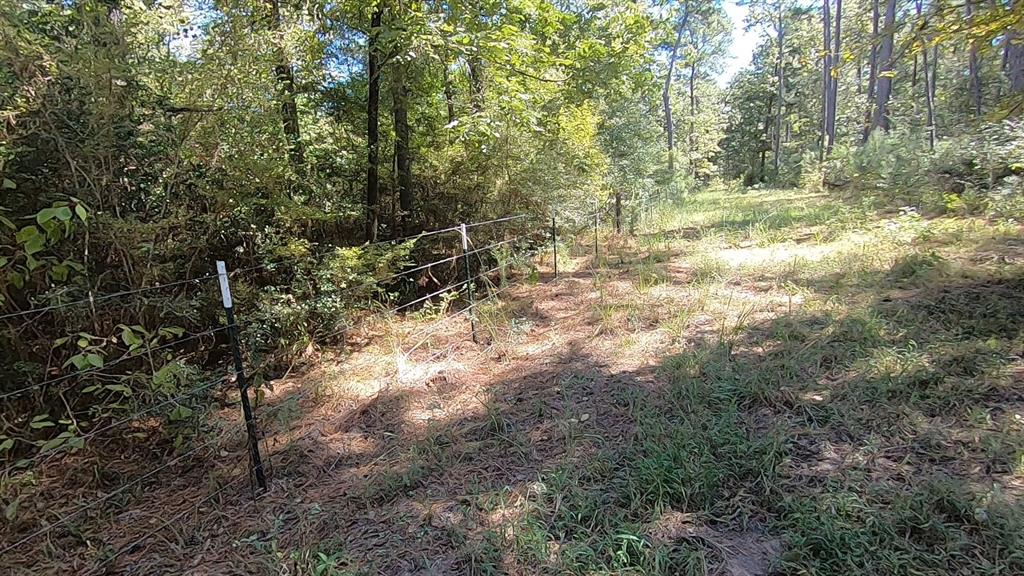 0 1 NF 209, Richards, Texas 77873, ,1 BathroomBathrooms,Country Homes/acreage,For Sale,NF 209,82460596