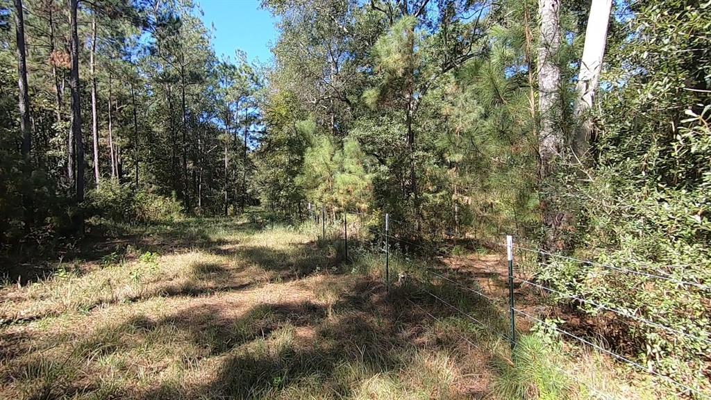0 1 NF 209, Richards, Texas 77873, ,1 BathroomBathrooms,Country Homes/acreage,For Sale,NF 209,82460596