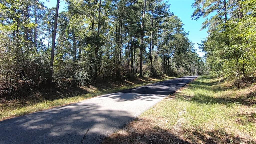 0 1 NF 209, Richards, Texas 77873, ,1 BathroomBathrooms,Country Homes/acreage,For Sale,NF 209,82460596