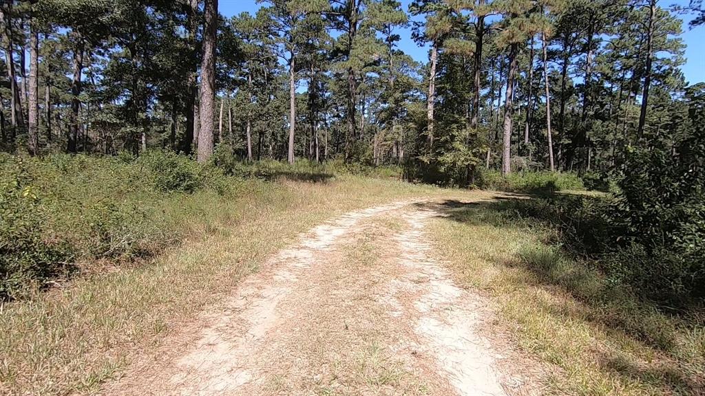 0 1 NF 209, Richards, Texas 77873, ,1 BathroomBathrooms,Country Homes/acreage,For Sale,NF 209,82460596
