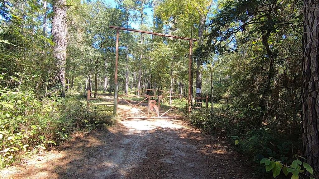 0 1 NF 209, Richards, Texas 77873, ,1 BathroomBathrooms,Country Homes/acreage,For Sale,NF 209,82460596