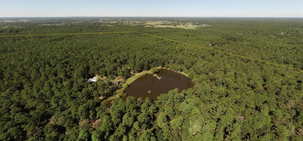 0 1 NF 209, Richards, Texas 77873, ,1 BathroomBathrooms,Country Homes/acreage,For Sale,NF 209,82460596