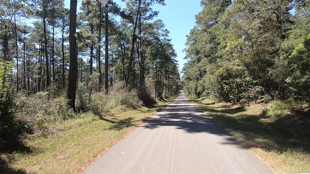 0 1 NF 209, Richards, Texas 77873, ,1 BathroomBathrooms,Country Homes/acreage,For Sale,NF 209,82460596