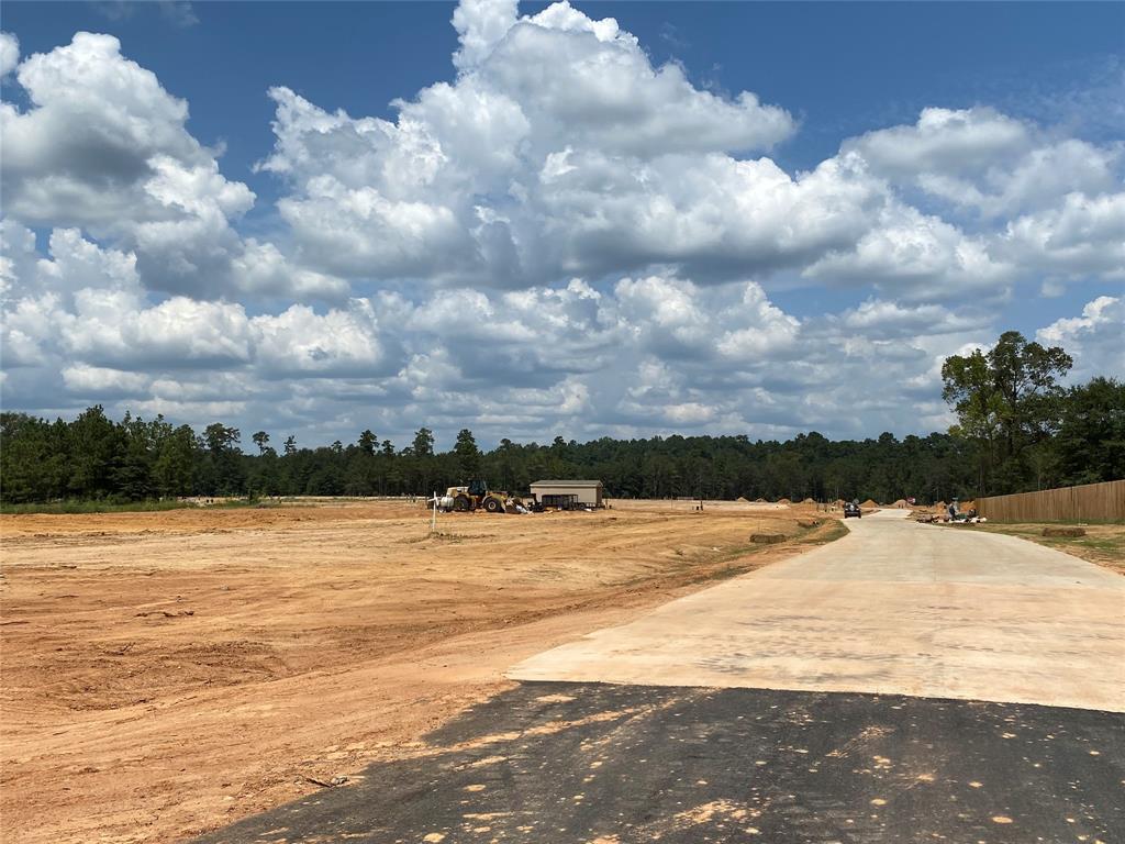 2116 Cedar Bend Drive, Conroe 2116 Cedar Bend Drive Conroe Texas 77306, 19