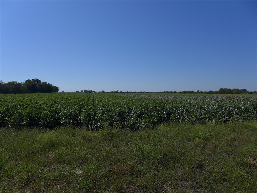 TBD Buls Road, East Bernard, Texas 77435, ,Country Homes/acreage,For Sale,Buls,69504940