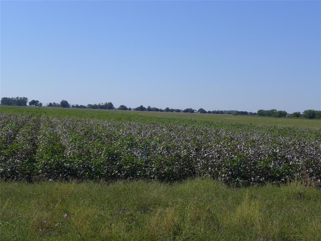 TBD Buls Road, East Bernard, Texas 77435, ,Country Homes/acreage,For Sale,Buls,69504940