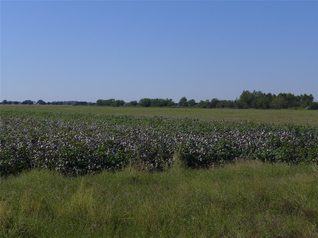 TBD Buls Road, East Bernard, Texas 77435, ,Country Homes/acreage,For Sale,Buls,69504940
