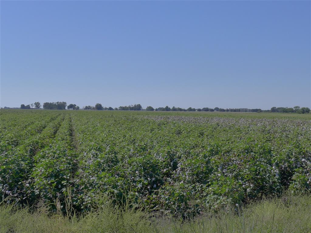 TBD Buls Road, East Bernard, Texas 77435, ,Country Homes/acreage,For Sale,Buls,69504940