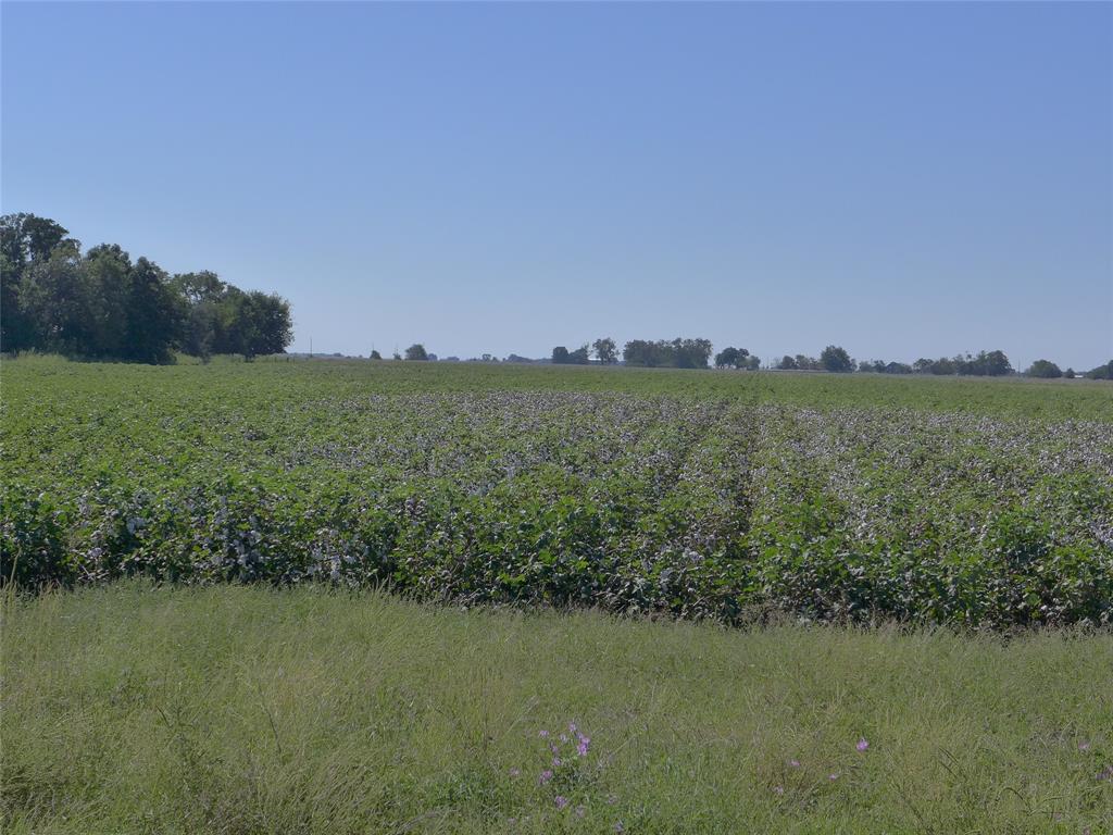 TBD Buls Road, East Bernard, Texas 77435, ,Country Homes/acreage,For Sale,Buls,69504940