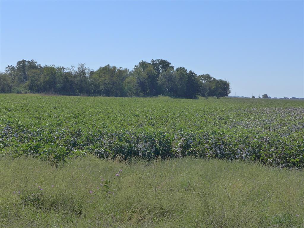 TBD Buls Road, East Bernard, Texas 77435, ,Country Homes/acreage,For Sale,Buls,69504940